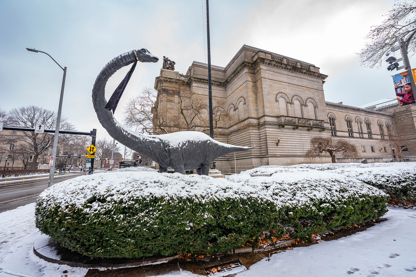 Pittsburgh Winter Carnegie Museum