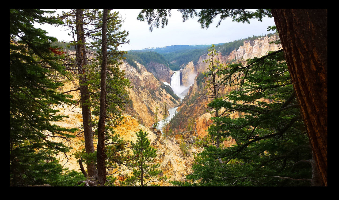 Yellowstone Falls at Yellowstone National Park