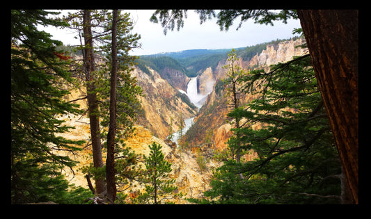 Yellowstone Falls at Yellowstone National Park