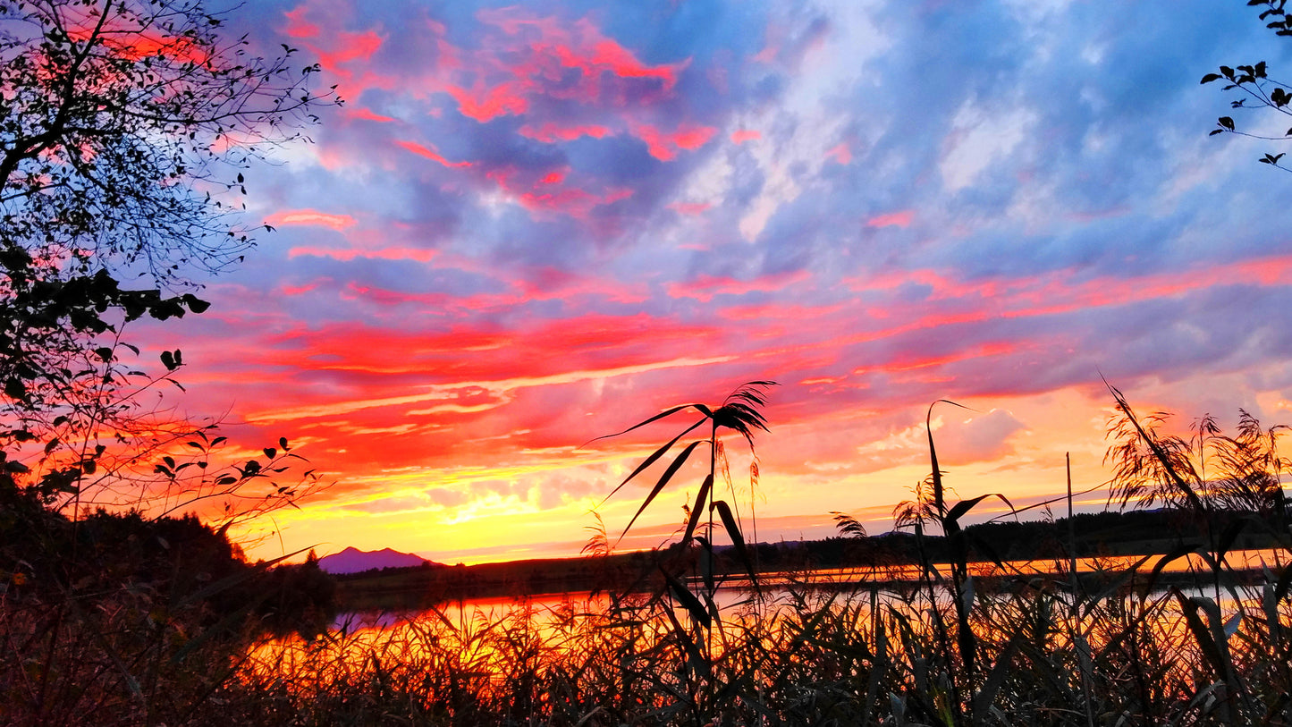 Germany Sunset Lake Bavaria