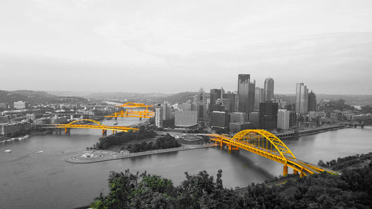 Pittsburgh Mt Washington Overview black/white