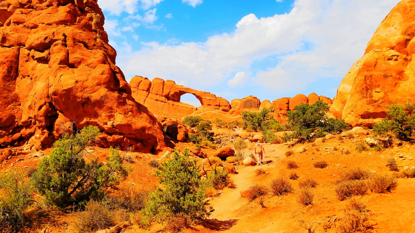 Arches National Park