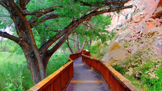 Capitol Reef National Park Utah