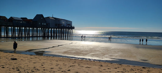 Maine Beach in Summer