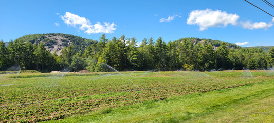 Vermont Countryside 01