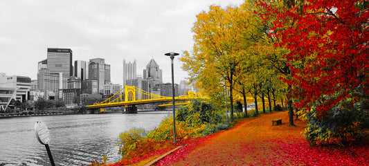 Bridge View during Autumn in Pittsburgh Black/White/Red/Yellow