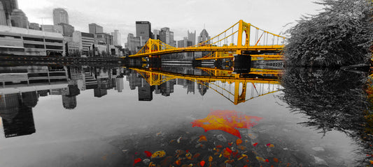 Pittsburgh Bridge Reflection with Riverbed B/W/R/Y