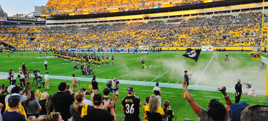 Pittsburgh Steelers Football Heinz Field 02