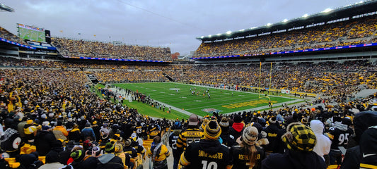 Pittsburgh Steelers Football Heinz Field 03