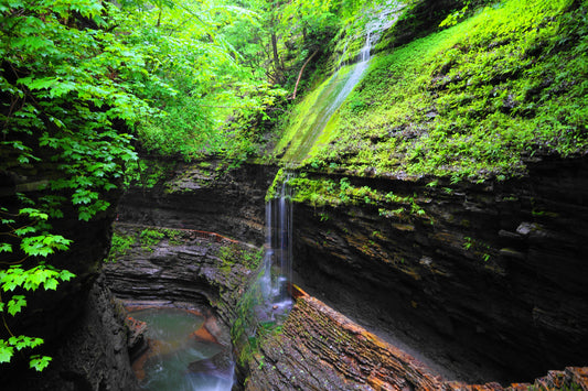 Watkins Glenn State Park 3