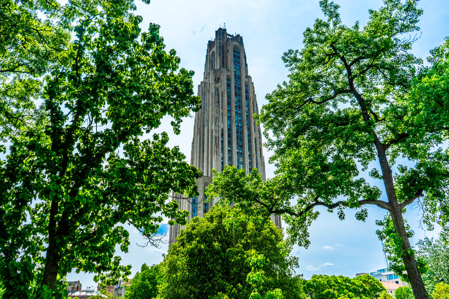 Pittsburgh University Cathedral of Learning 08