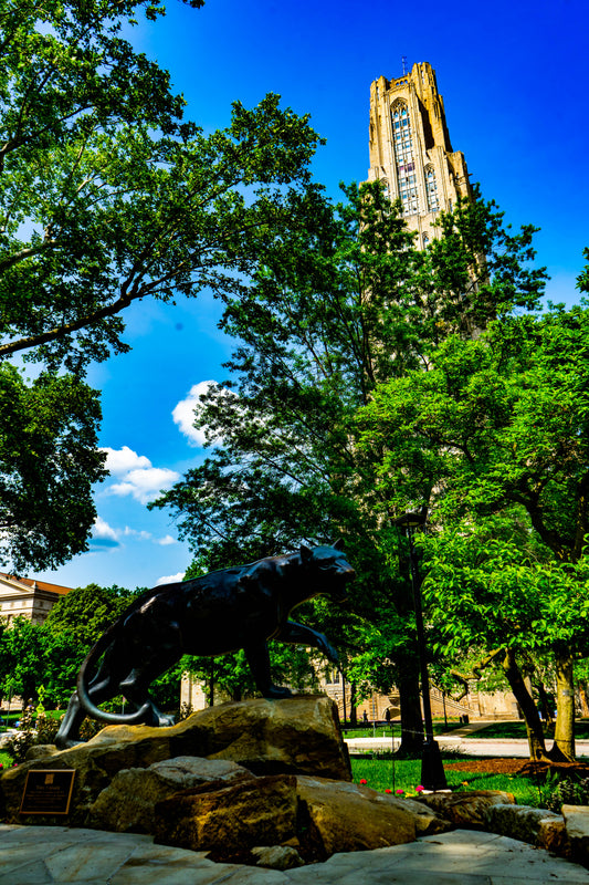 Pittsburgh University Cathedral of Learning 15