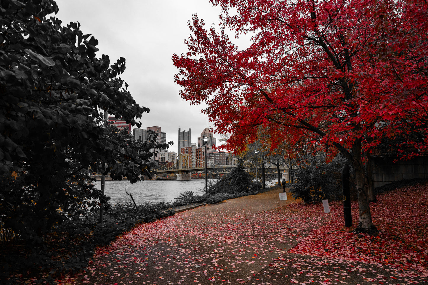 Pittsburgh Fall 2023 - River Trail