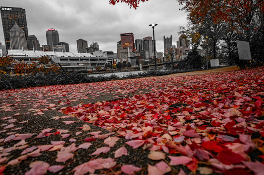 Pittsburgh Fall 2023 - River Trail 2