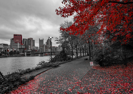 Pittsburgh Fall 2023 - River Trail 4