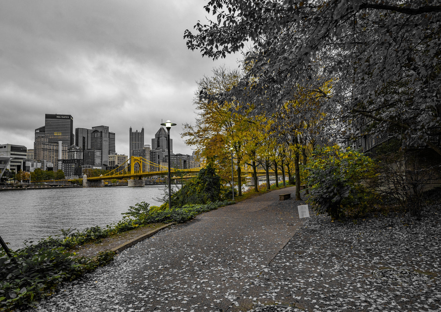 Pittsburgh Fall 2023 - River Trail 5