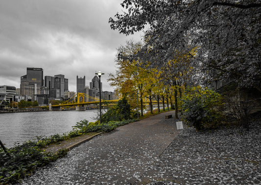 Pittsburgh Fall 2023 - River Trail 5