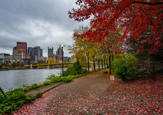 Pittsburgh Fall 2023 - River Trail 6