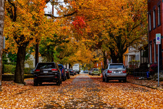 Pittsburgh Fall 2023 - Northside Streets