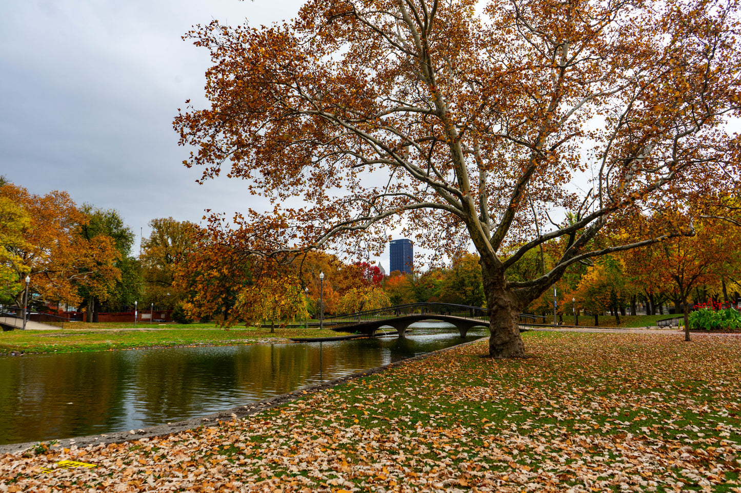 Pittsburgh Fall 2023 - Northside Allegheny Commons Park 2