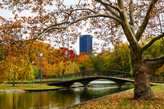 Pittsburgh Fall 2023 - Northside Allegheny Commons Park