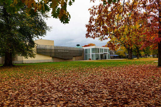 Pittsburgh Fall 2023 - Northside Aviary