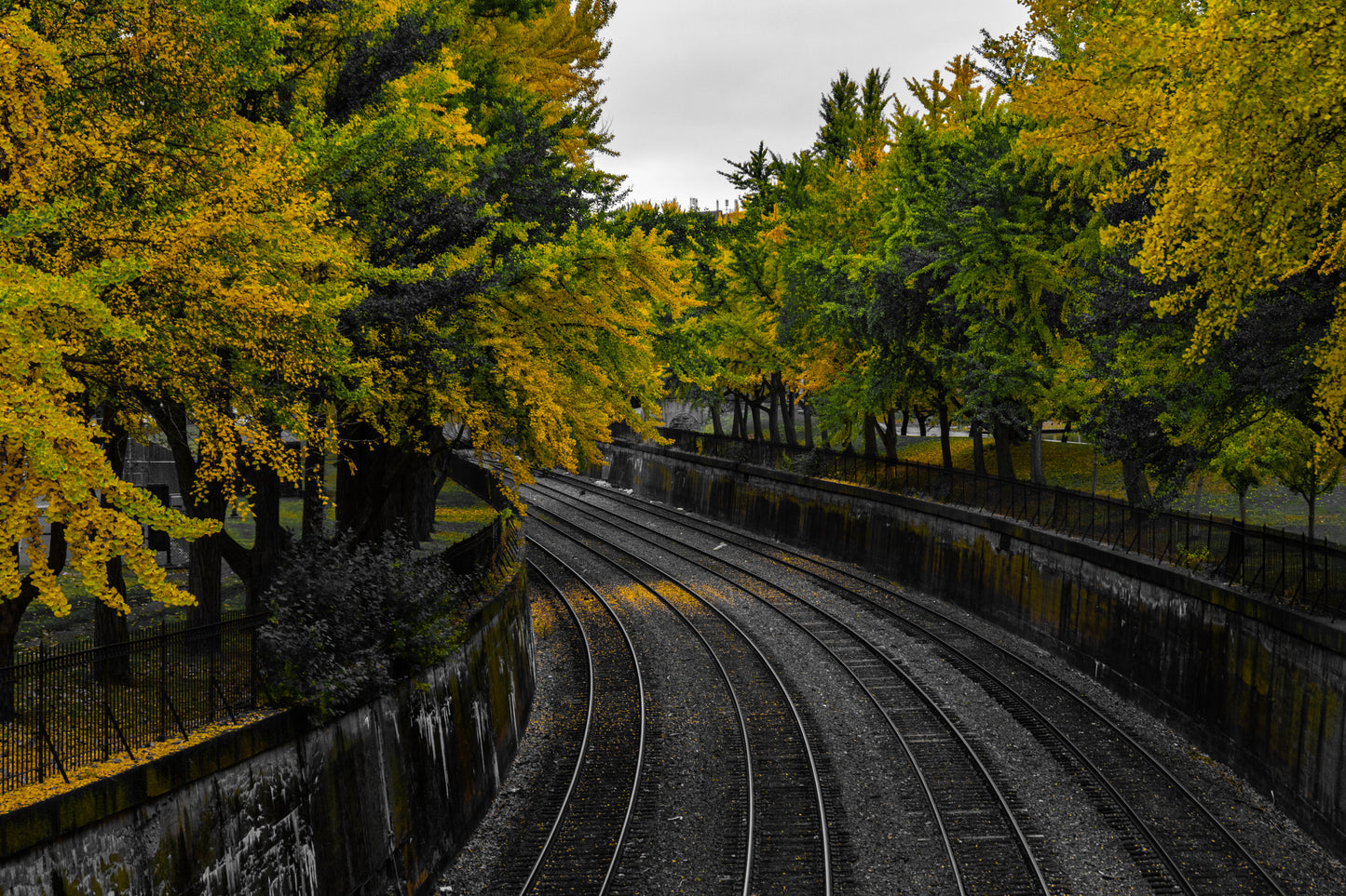 Pittsburgh Fall 2023 - Northside Train Tracks 3