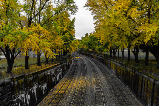 Pittsburgh Fall 2023 - Northside Train Tracks 4