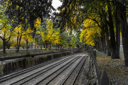 Pittsburgh Fall 2023 - Northside Train Tracks 5