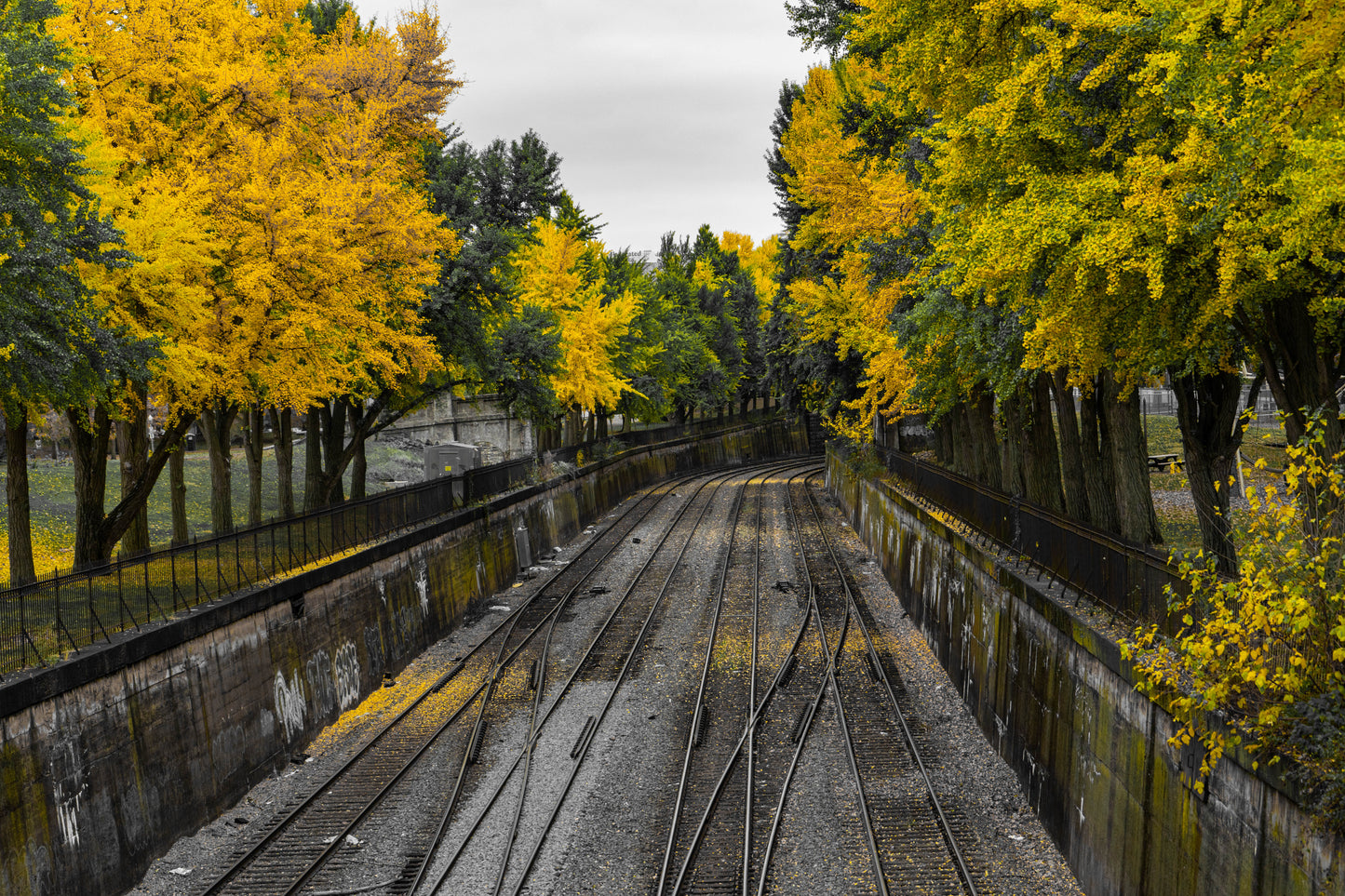 Pittsburgh Fall 2023 - Northside Train Tracks 6