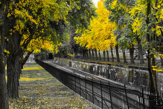 Pittsburgh Fall 2023 - Northside Train Tracks 7