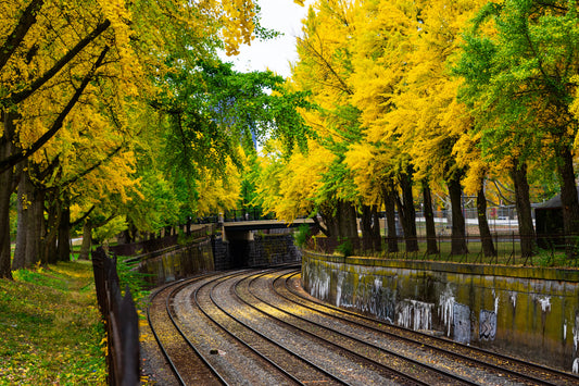 Pittsburgh Fall 2023 - Northside Train Tracks 9