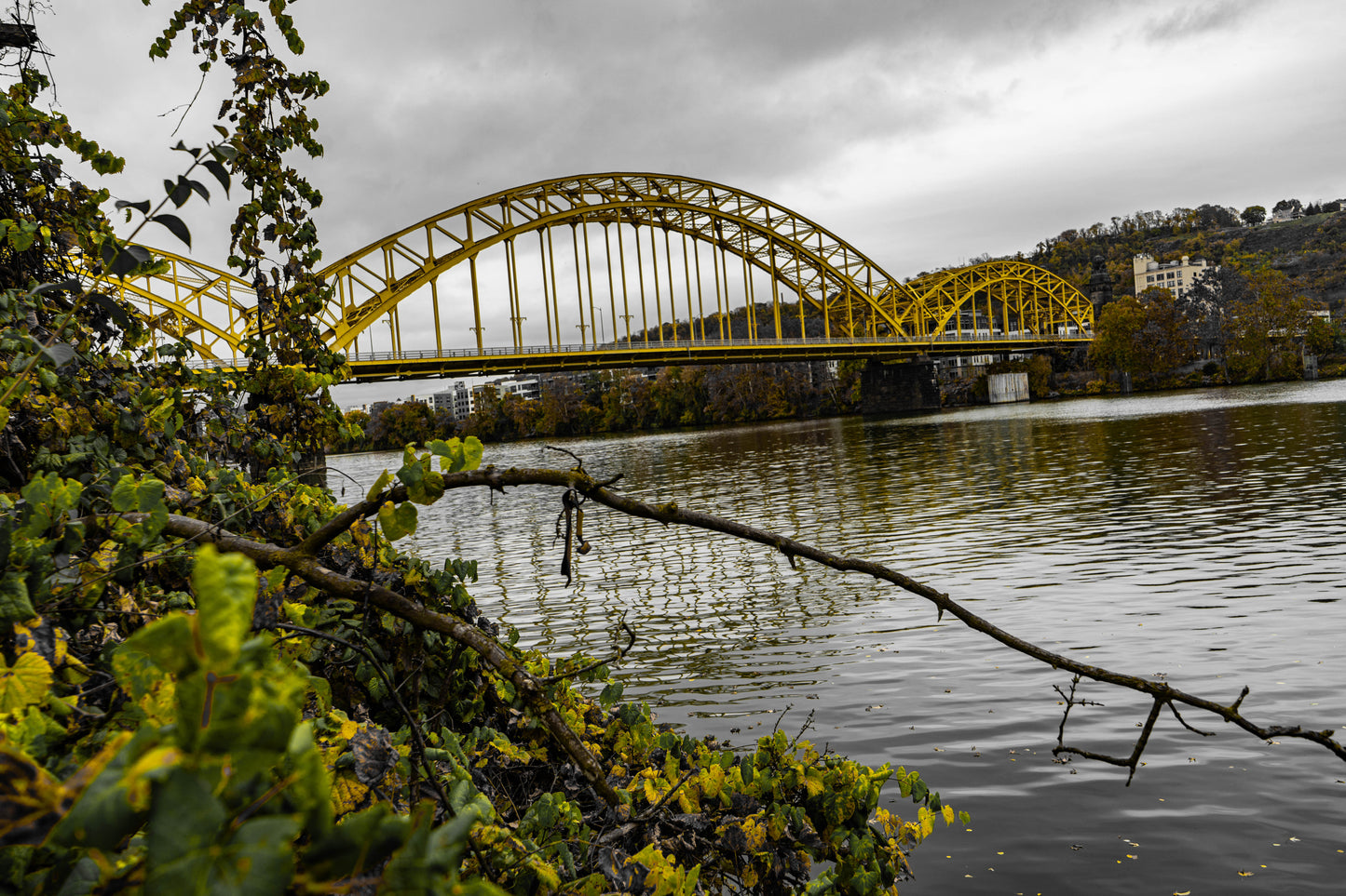 Pittsburgh Fall 2023 - 16th Street Bridge 2