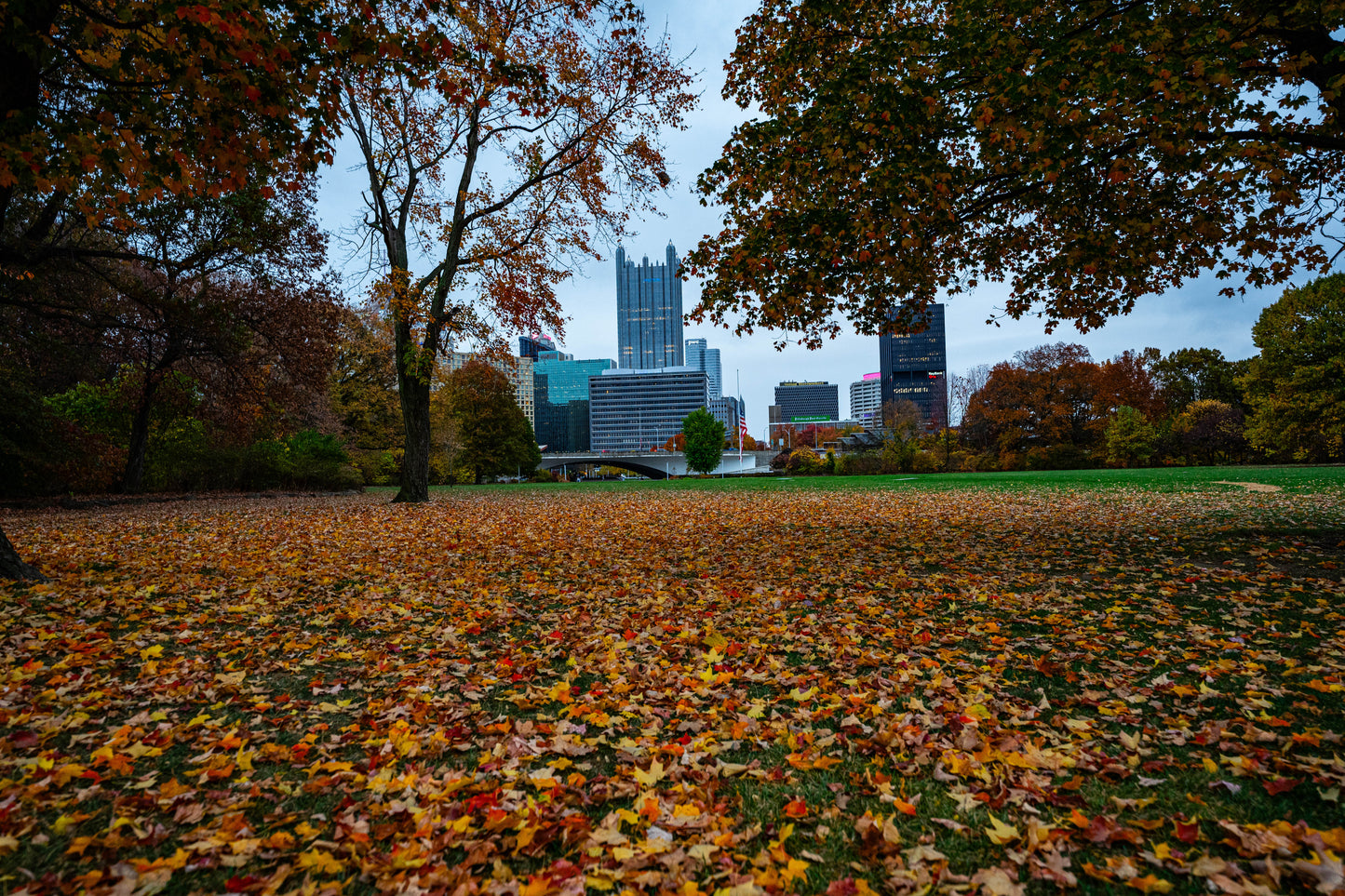 Pittsburgh Fall 2023 - Point State Park