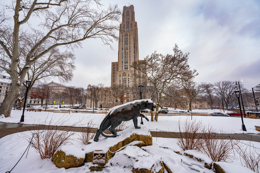 Pittsburgh Winter Cathedral Of learning 02