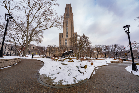 Pittsburgh Winter Cathedral Of learning 03