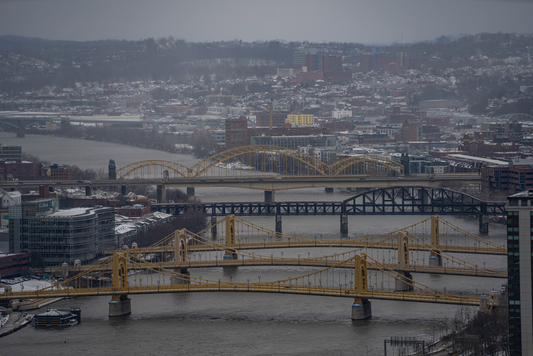 Pittsburgh Winter Bridges 02